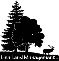 Lina_Small_Logo