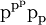 \text{p}^{\text{p}^\text{p}} \text{p}_\text{p}\!