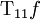 \operatorname{T}_{11} f