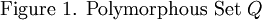 \text{Figure 1. Polymorphous Set}~ Q