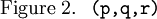 \text{Figure 2.}~~\texttt{(p, q, r)}