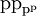 \text{p} \text{p}_{\text{p}^\text{p}}\!