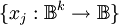 \{ x_j : \mathbb{B}^k \to \mathbb{B} \}
