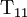 \operatorname{T}_{11}