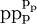 \text{p} \text{p}_\text{p}^{\text{p}_\text{p}}\!