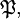 \mathfrak{P},