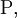 \operatorname{P},