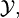 \mathcal{Y},