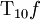 \operatorname{T}_{10} f