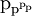 \text{p}_{\text{p}^{\text{p}_{\text{p}}}}\!