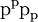 \text{p}^\text{p} \text{p}_\text{p}\!