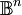 \mathbb{B}^n