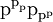 \text{p}^{\text{p}_\text{p}} \text{p}_{\text{p}^\text{p}}\!