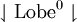 \downharpoonleft \operatorname{Lobe}^0 \downharpoonright