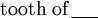 \text{tooth of}\,\underline{~~~~}