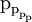 \text{p}_{\text{p}_{\text{p}_{\text{p}}}}\!