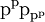 \text{p}^\text{p} \text{p}_{\text{p}^\text{p}}\!