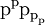 \text{p}^\text{p} \text{p}_{\text{p}_\text{p}}\!