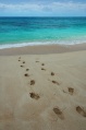 Footprints in sand.jpg