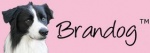 Brandog Pet Accessories and Supplies Logo