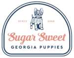 Sugar Sweet Georgia Puppies