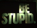 Be stupid @ Amsterdam.jpg