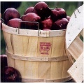 Apple-Baskets.jpg